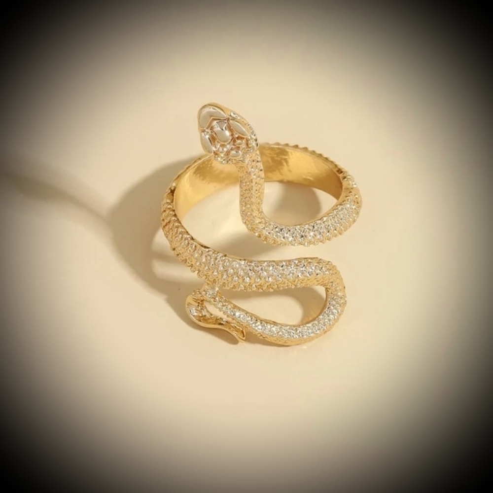 Rings - Picture 4 of 5